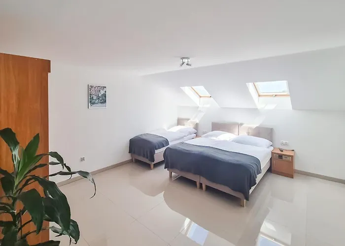 Cozy In With Wifi Dobrzyca (Koszalin)